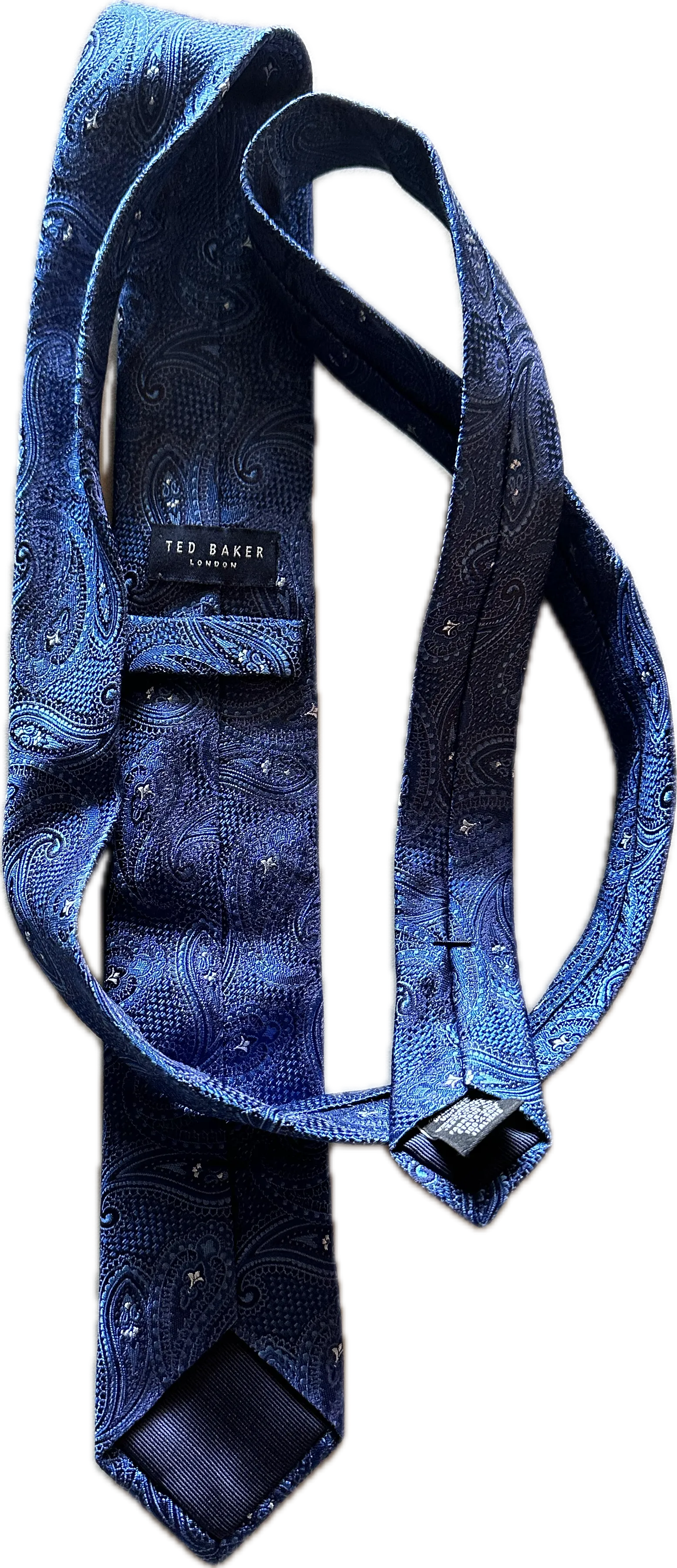 NEW GIRL: Schmidt's TED BAKER Italian Silk Blue Paisley Necktie